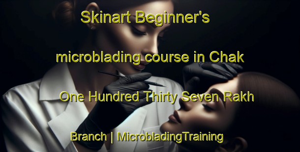 Skinart Beginner's microblading course in Chak One Hundred Thirty Seven Rakh Branch | MicrobladingTraining | MicrobladingClasses | SkinartTraining-Pakistan